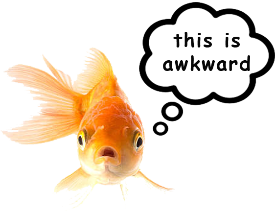 Fish with speech bubble saying 'this is awkward'